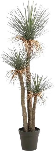 Künstliche Yucca Palme Ron von Aplanta, Höhe: 180 cm - Bild 1