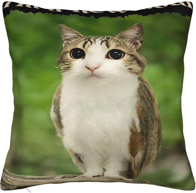 JMG Clothing Kissenhülle Meowl Meme Katze Eule Motiv, Mehrfarbig, B/B: 50 x 50 cm - Bild 1