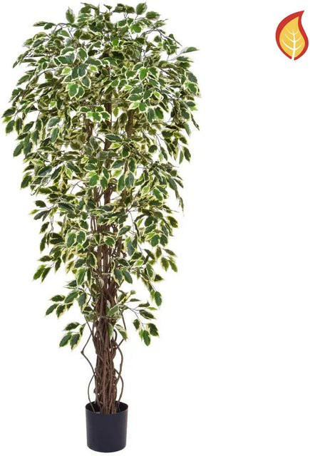 Künstlicher Ficus Rosemarie von Aplanta, Höhe: 180 cm - Bild 1
