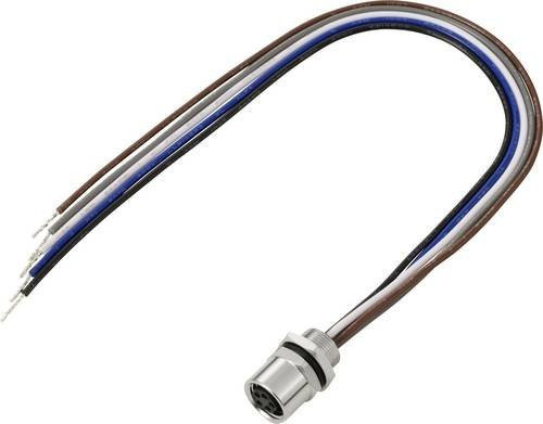 TRU COMPONENTS Anschlussleitung M8 x 1 Buchse gerade, 5 Polzahl, 0,2 m, multicolour - Bild 1