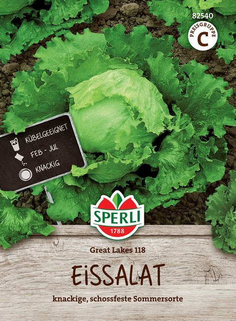 SPERLI Eissalat-Samen Great Lakes 118 - Bild 1