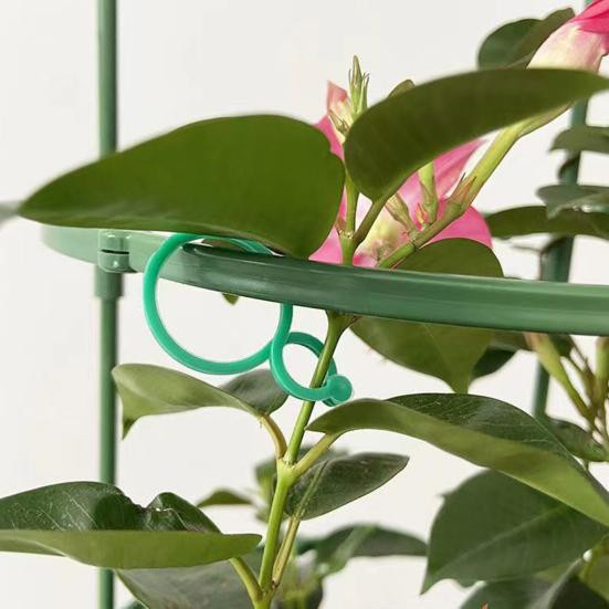 Talos home Garden Gartenpflanzenklammern aus Kunststoff für Innen- und Außenbereich, 100 Stück - Bild 5
