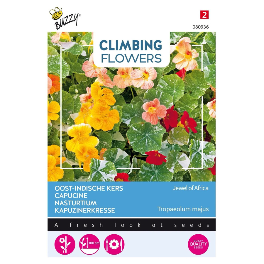 Arborix Kapuzinerkresse Jewel of Africa Buzzy Climbing Flowers Samen, exotische Kletterpflanze, 3 g - Bild 2