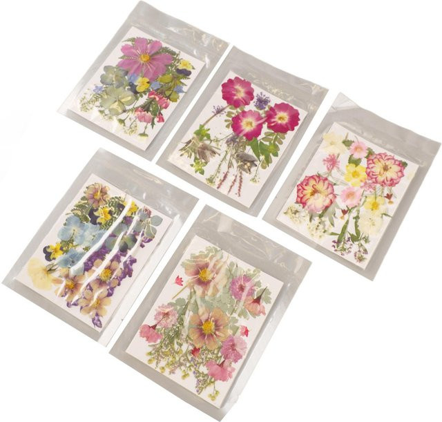 KaiSai Set mit 5 Beuteln bunter Trockenblumen in Weiß und Multicolour für DIY-Projekte wie Lesezeichen - Bild 1