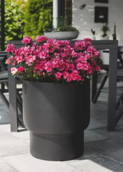 Pflanzkübel LIVELLO aus Fiberglas in Schwarz Matt, runder Pflanztopf - Bild 2