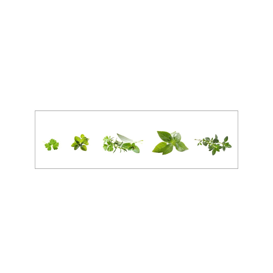 MySpotti Küchenrückwand Profix Cucina Kräuter in Minzgrün, Breite: 60 cm, Höhe: 210 cm - Bild 1