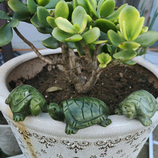 TAIHESJ Xiuyan Jade Schildkröte aus grünem Naturstein als Feng Shui Ornament für deine Heimdekoration, Höhe: 8 cm - Bild 1
