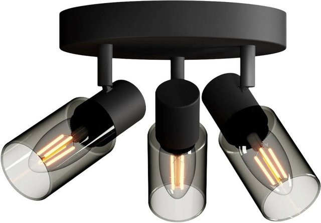 Philips Hue Spot Palms Deckenleuchte, 3-flammig, Schwarz, Glas und Metall, E14, verstellbar - Bild 1