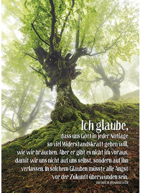 Ich glaube, dass uns Gott ... Buch vom Kawohl-Verlag in Grün - Bild 1