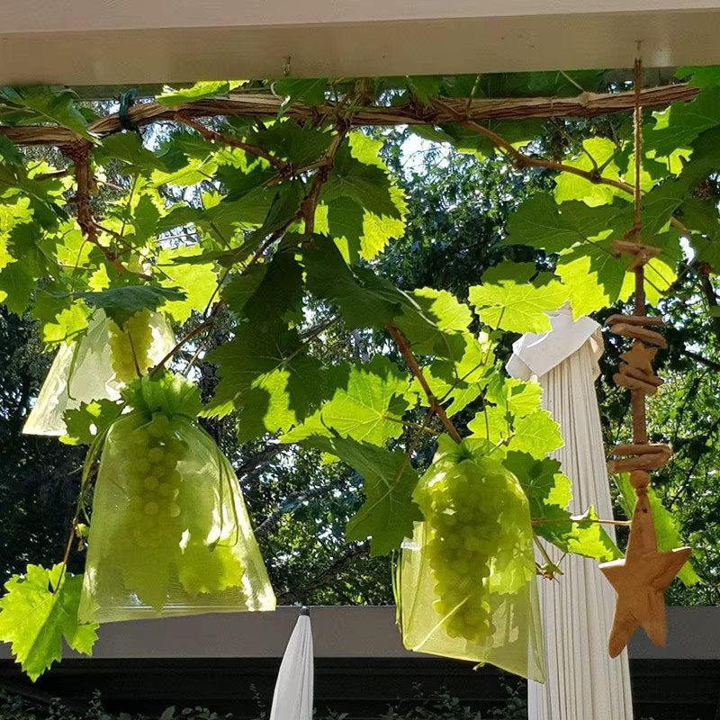 50 Stück Organza-Schutzbeutel mit Kordelzug in Weiß für Obst und Garten, B/T/H: 17 x 17 x 23 cm - Bild 1