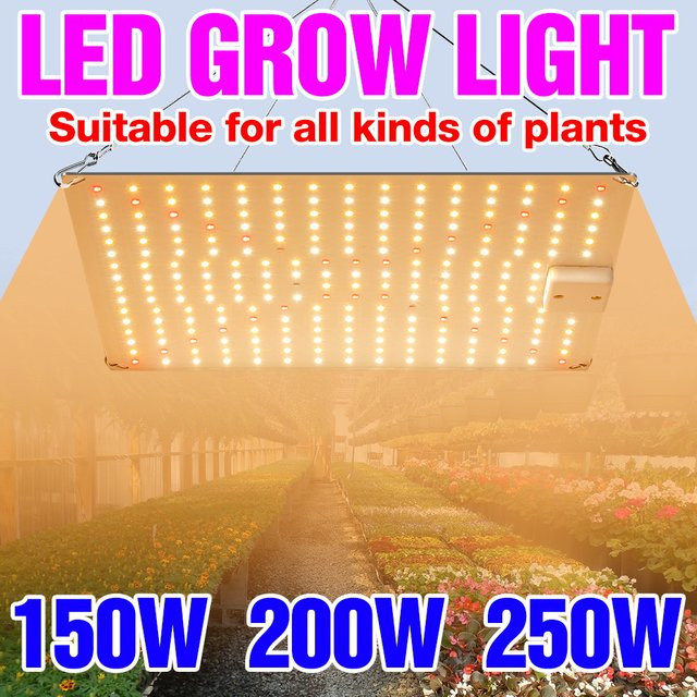 CanLing 250 W LED Vollspektrum Quantum Board Pflanzenlampe für Indoor Anbau von Obst, Gemüse und Kakteen - Bild 1