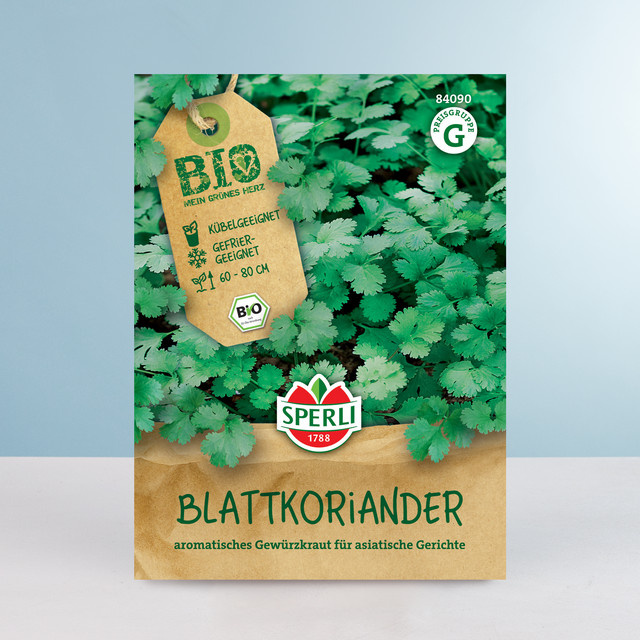 Sperli Koriander Samen BIO - Bild 1