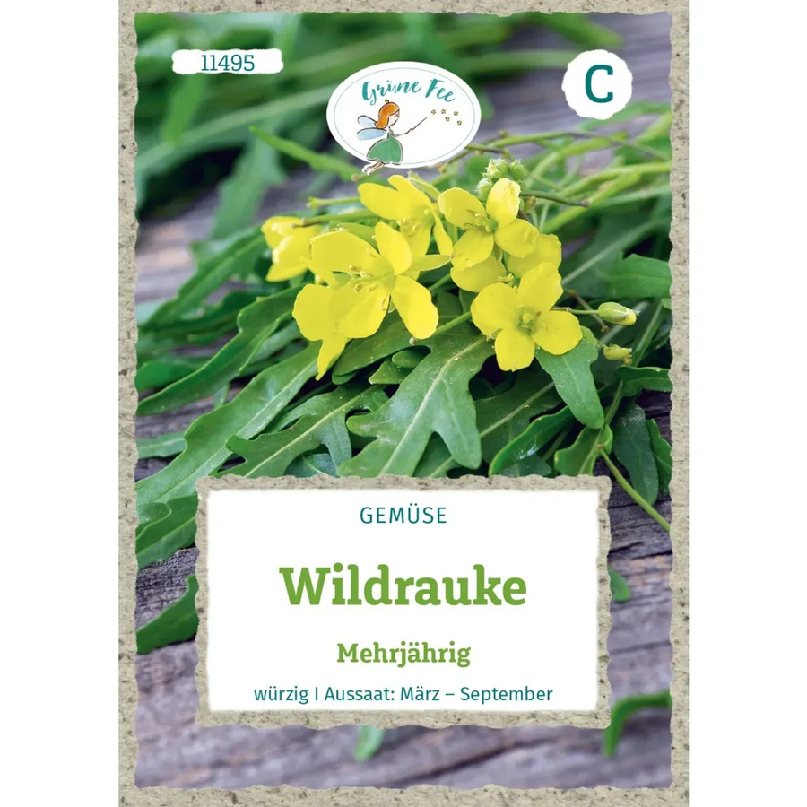 Grüne Fee Wildrauke mehrjähriges Kräuter-Saatgut würzig - Bild 2