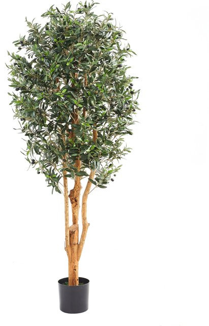Künstlicher Olivenbaum Lysandra von Aplanta, Höhe: 180 cm - Bild 1