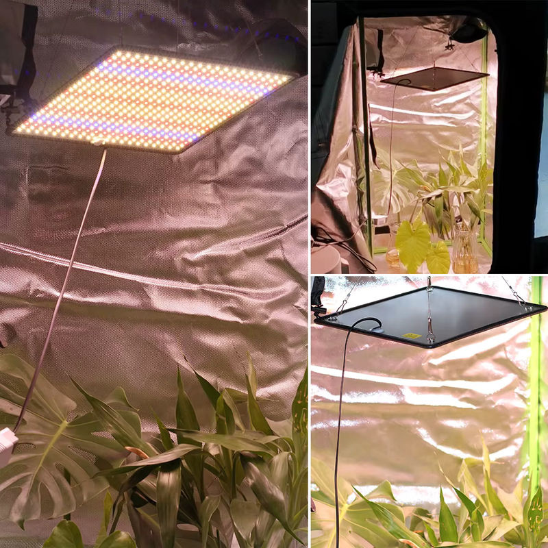 TRANYTON LED-Wachstumslicht Vollspektrum Phyto-Lampe 40 W für Indoor-Wachstumszelte und Pflanzen - Bild 4