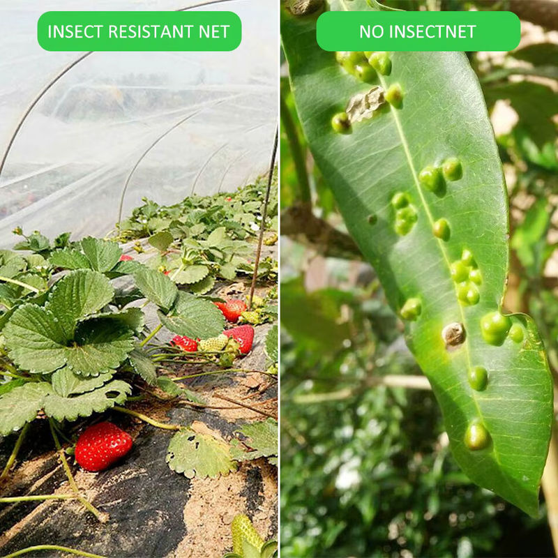 Insektenschutznetz für Garten und Gemüse als Abdeckung zum Schutz von Pflanzen und Blumen, Weiß, Länge: 10 m - Bild 2