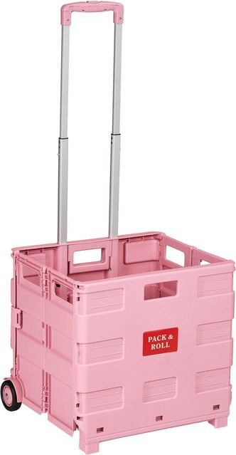 Relaxdays Einkaufstrolley aus Kunststoff und Aluminium in Pink, klappbar mit Teleskopgriff, B/T/H: 100 x 42 x 37 cm - Bild 1