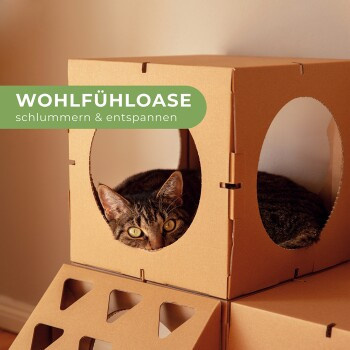 DoPetMe Katzenhaus The Kitten Castle Höhle aus Papier in Braun - Bild 3