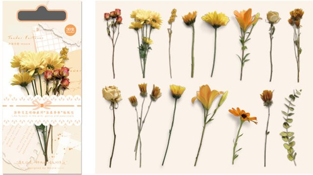 30 Stück Vintage Pflanzen und Blumen Aufkleber von Gentle Lucky in Beige und Multicolour mit botanischem Design aus Papier - Bild 1