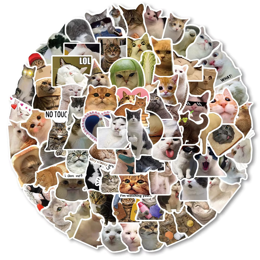 Rspctou Tier-Katzen-MEME-Graffiti-Aufkleber, wasserdicht, multicolor - Bild 2