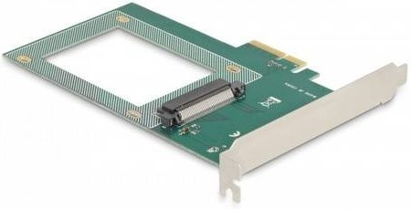 Delock 90081 PCIe U.2 NVMe Speicher-Controller Karte für SSDs mit PCIe 4,0 x4 Schnittstelle - Bild 1