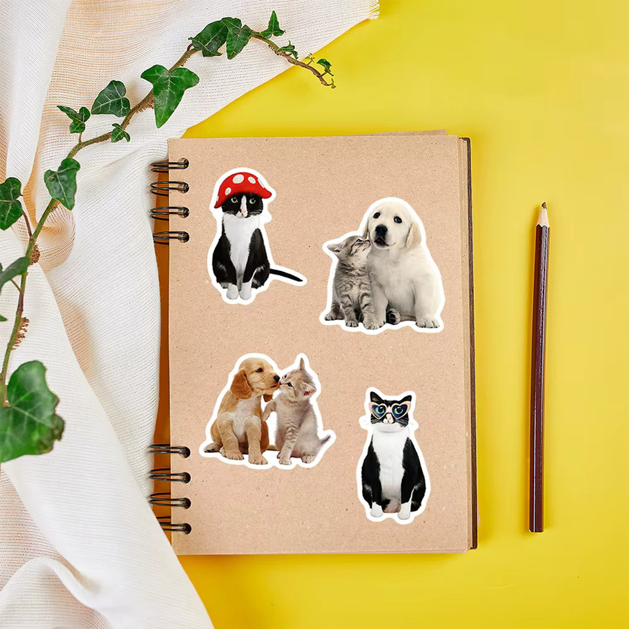 Charile Kawaii süße Katze Meme Aufkleber, Dekoration, multicolor - Bild 4