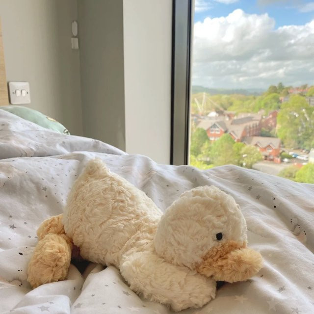 XUYUAN Entenornament Kawaii-Dekoration für Schreibtisch und Wohnzimmer - Bild 1
