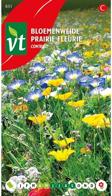 Arborix Blumenwiese Kontrast Samen mit kontrastreichen Blüten, 2,5 g - Bild 1