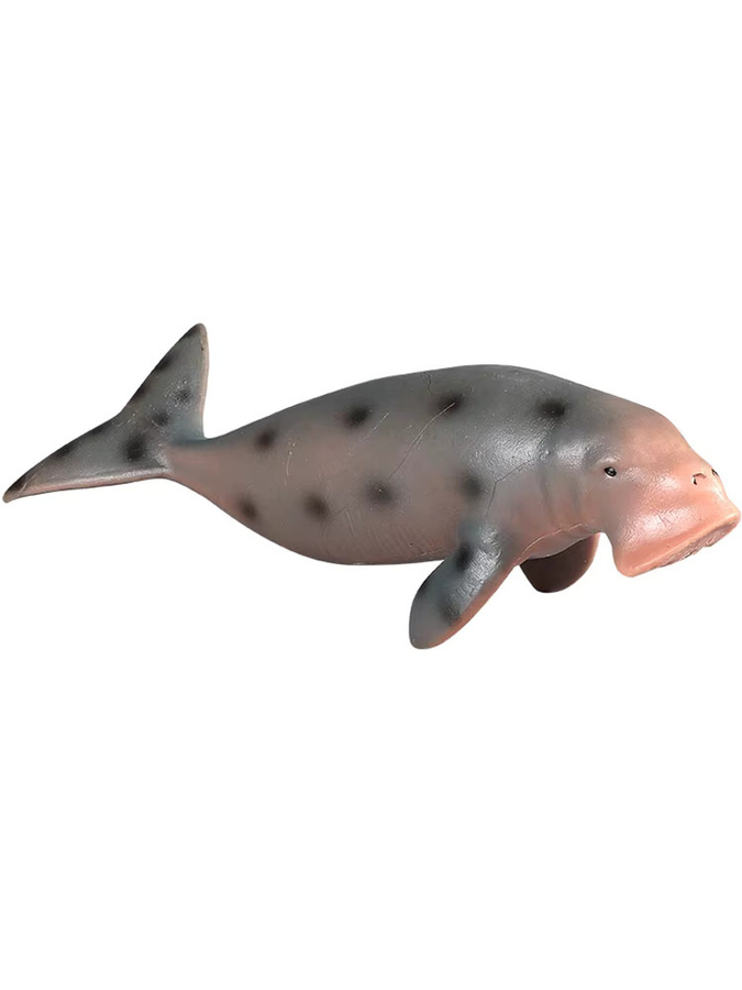 XIALIBAOMOWAN Ozean Meer Leben Tiere Walross Seekuh Seelöwe, Lernspielzeug, Set / Bundle - Bild 3