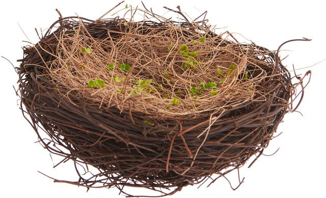 Rico Design Naturnest mit Gras in Braun, Durchmesser: 15 cm - Bild 1