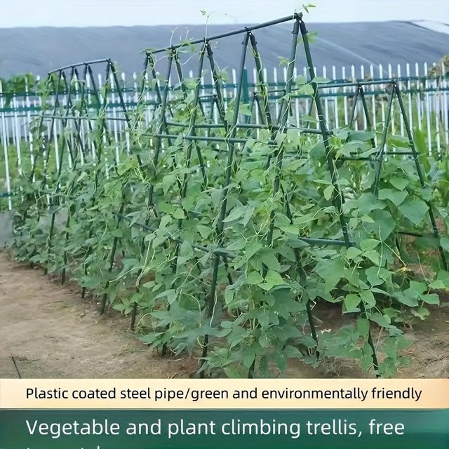 Pop Robuste Gartenpfähle in Grün als Mehrzweck-Stützrahmen für Gemüse und Kletterpflanzen, Höhe: 60 cm - Bild 1