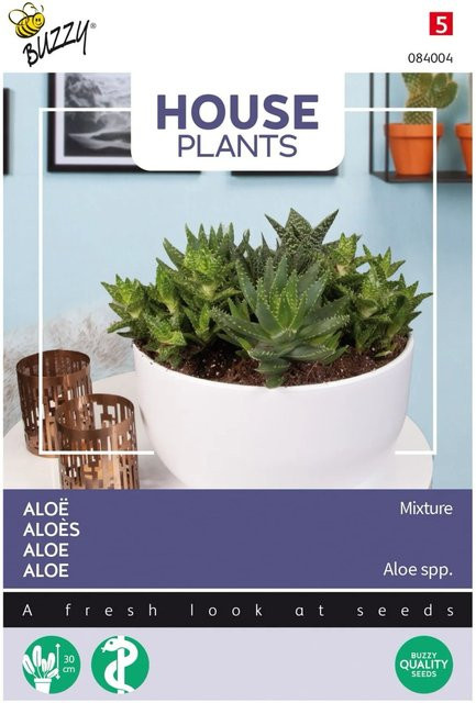 Buzzy House Plants Aloe Mischung Samen für den Innenbereich mit ca. 5 Samen - Bild 1