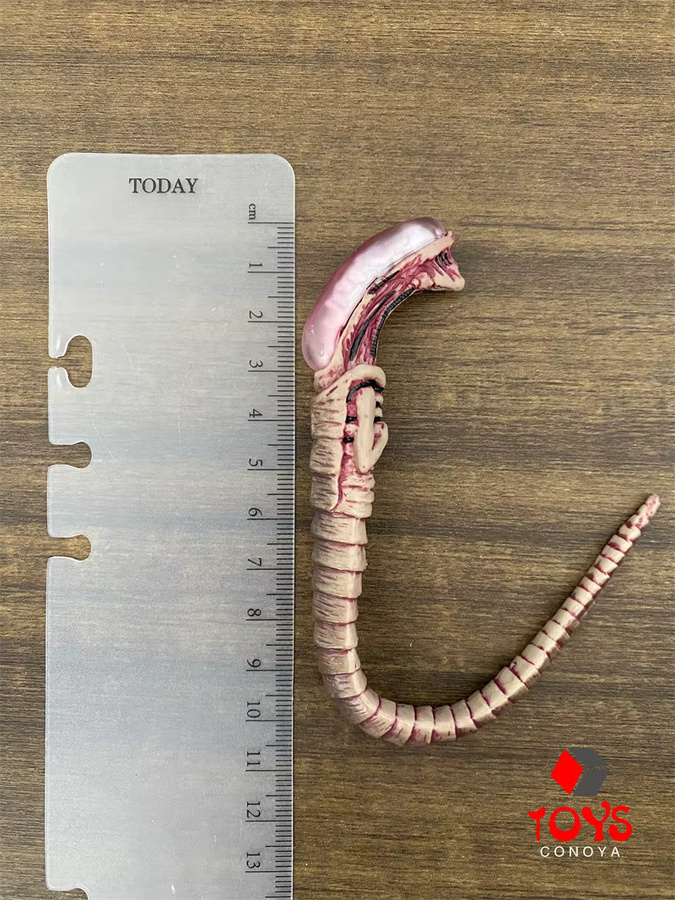 Fire Girl Alien Chestburster Facehugger Figur, Modell Szene Zubehör, 1/6 - Bild 2