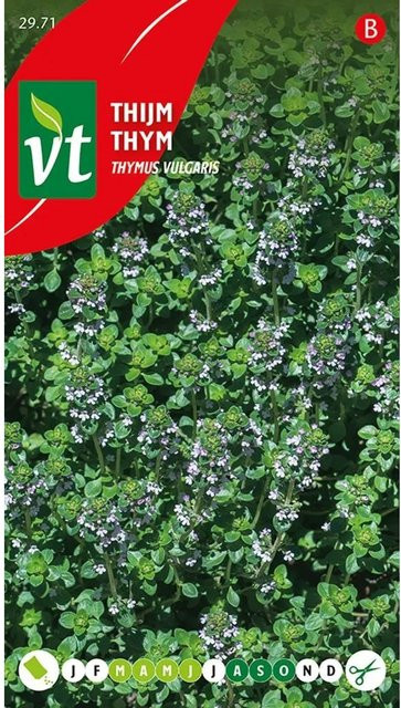 Arborix Thymian Saatgut Aromatisch 0,5 g - Bild 1