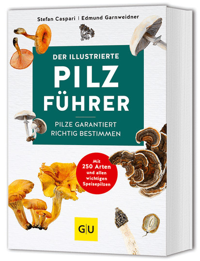 Der illustrierte Pilzführer von Stefan Caspari, Edmund Garnweidner, Taschenbuch - Bild 1