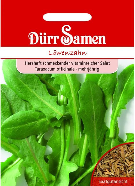 Dürr Löwenzahn Saatgut 155 g - Bild 1