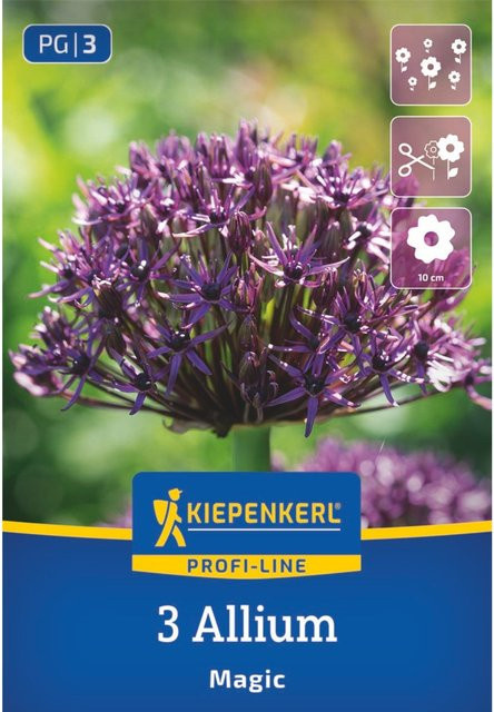 Kiepenkerl Profi-Line Zierlauch Magic in Violett, 3 Zwiebeln - Bild 1
