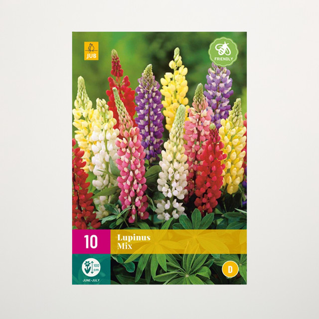 Lupinen Mix BLUME2000 - 10 Staudenwurzeln für die Blumenrabatte - Bild 1