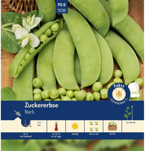 Pabst Keimkraft Zuckererbse Früh & Zart Saatgut - Bild 1