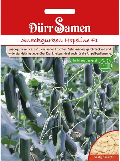 Dürr Samen Snackgurken Hopeline F1 Saatgut - Bild 1