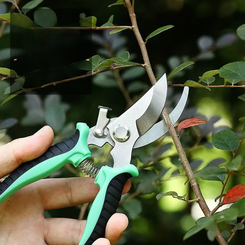 Dobeli Professionelle Bonsai-Gartenschere in Gelb für präzises Ast-, Blumen- und Baumschneiden - Bild 2