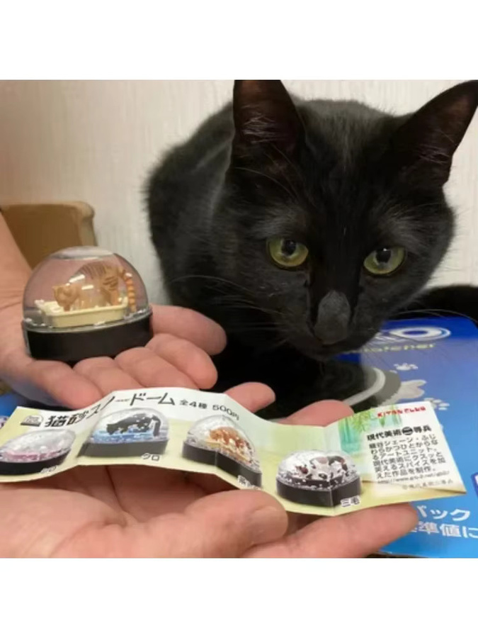 Kitan Nette Katze Wurf Schneekugel, Kitty Anime Figur, Kapsel Spielzeug - Bild 1