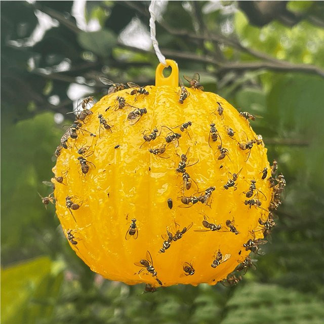 P andora Klebriger Fliegenfängerball zur Insektenreinigung in Gelb - Bild 1