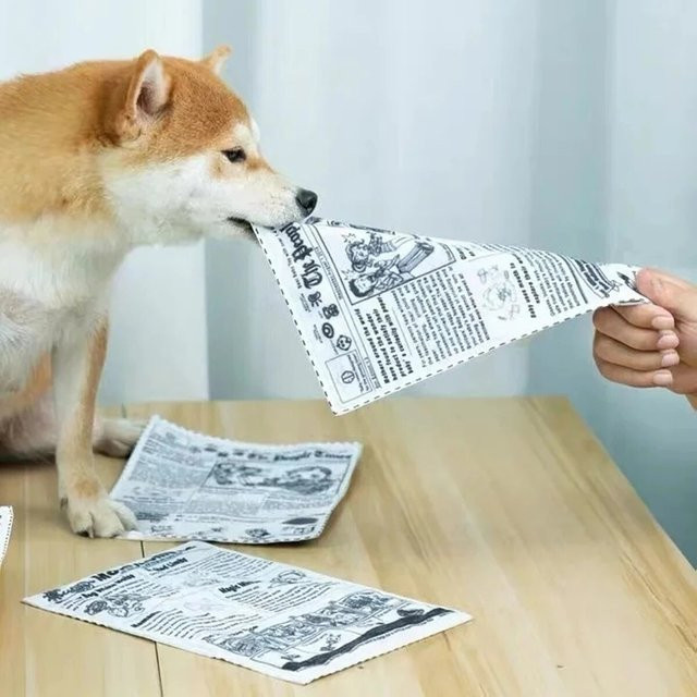 Reißfestes Haustier Hund Sound Spielzeug, Quietschende Zeitung, 1-teiliges Set - Bild 1