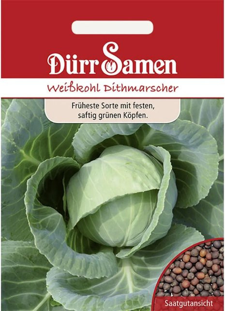 Dürr Weißkohl Dithmarscher Saatgut für die Frühsaat im Freiland - Bild 1