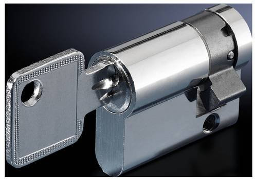 Rittal Verschlusseinsatz CS 9785.042 in Silber, 2 Stück - Bild 1