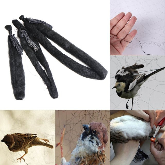 Adhere To Fly Vogelschutznetz in Schwarz zum Schutz von Obstbäumen, Garten und Landwirtschaft - Bild 1
