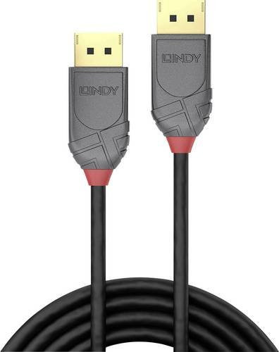 Lindy DisplayPort 1.4 Anschlusskabel Anthrazit Schwarz, Länge: 5,00 m - Bild 1