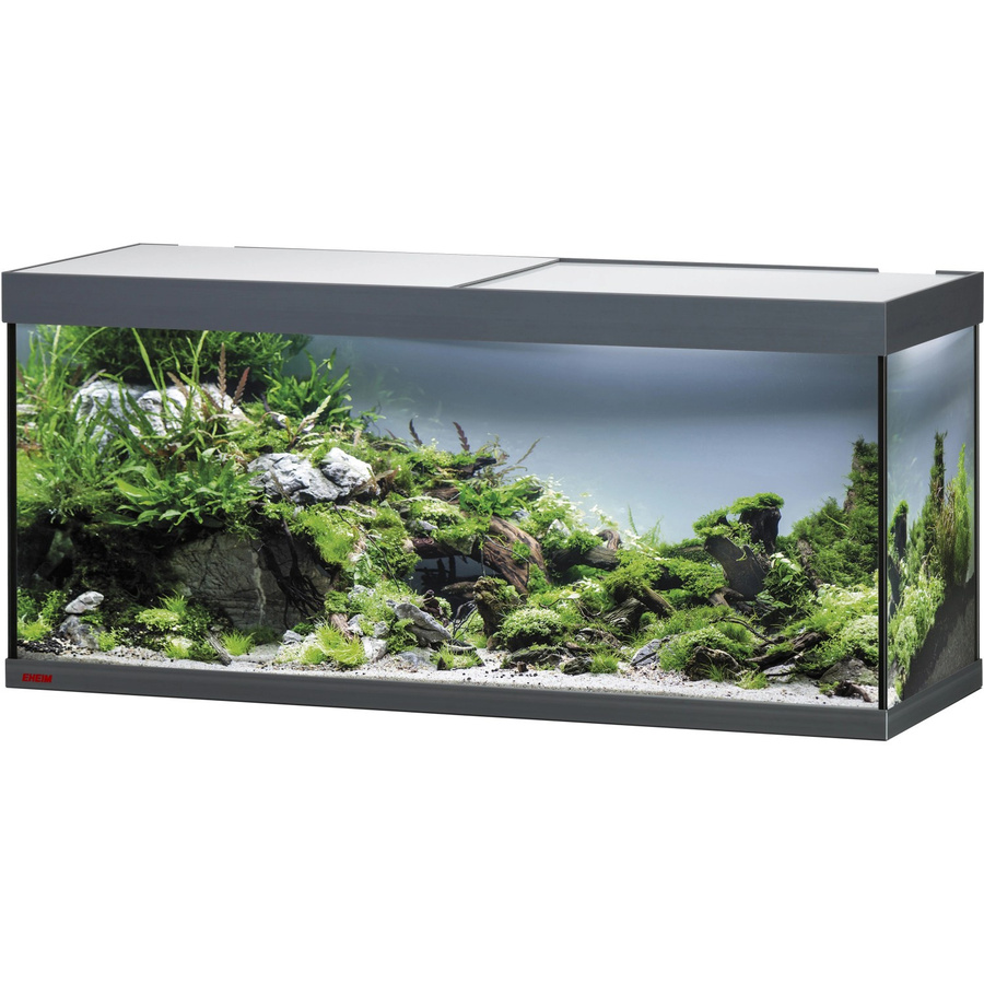 Eheim Aquarium Vivaline LED 240 Glasbecken mit Abdeckung in Anthrazit - Bild 2