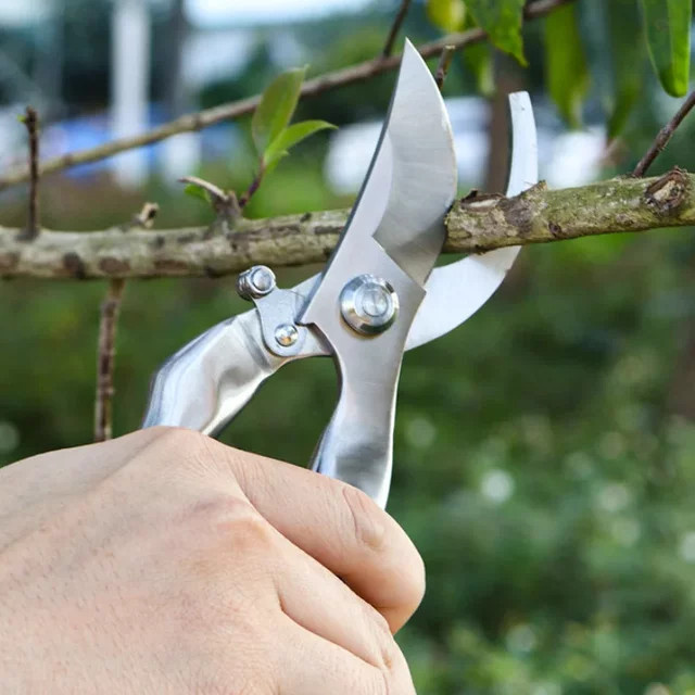 Dobeli Ganzstahl-Hochleistungsschere aus 30CR14-Stahl in Silber als multifunktionale Zweig-, Blumen- und Obstpflückschere - Bild 1